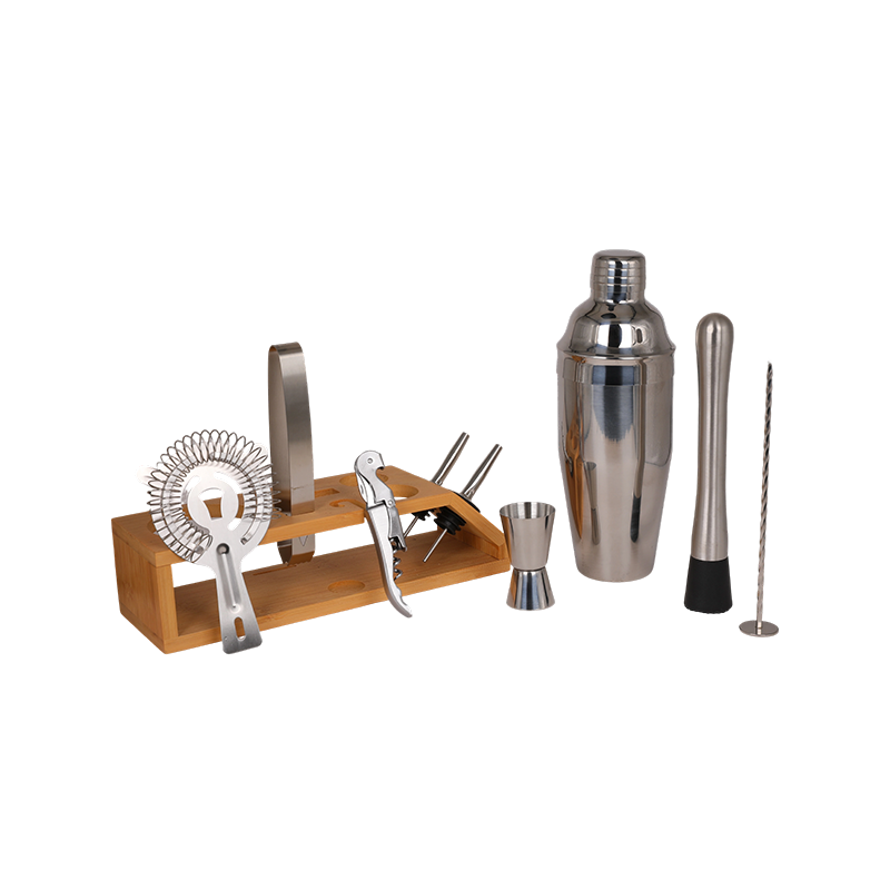 10-Piece Stainless Steel Martini Shaker and Complete Kit