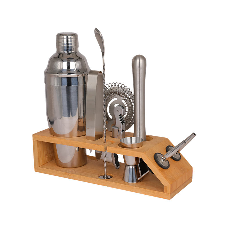 10-Piece Stainless Steel Martini Shaker and Complete Kit