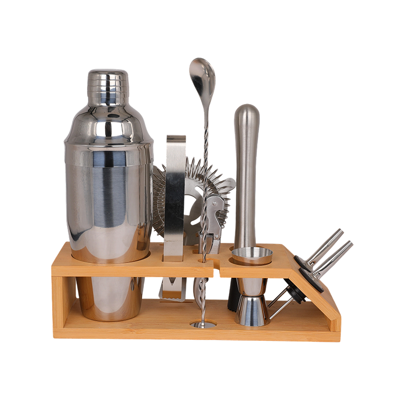 10-Piece Stainless Steel Martini Shaker and Complete Kit