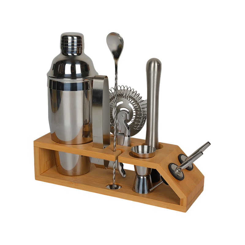 10-Piece Stainless Steel Martini Shaker and Complete Kit