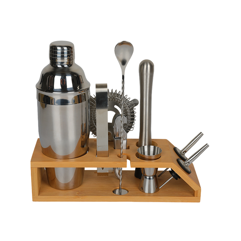 10-Piece Stainless Steel Martini Shaker and Complete Kit