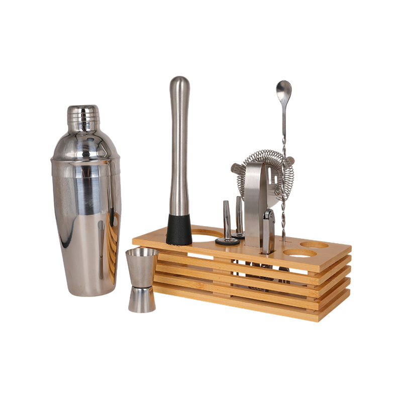 10-Piece Stainless Steel Martini Shaker and Complete Kit