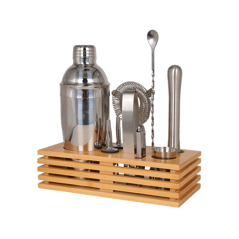 10-Piece Stainless Steel Martini Shaker and Complete Kit