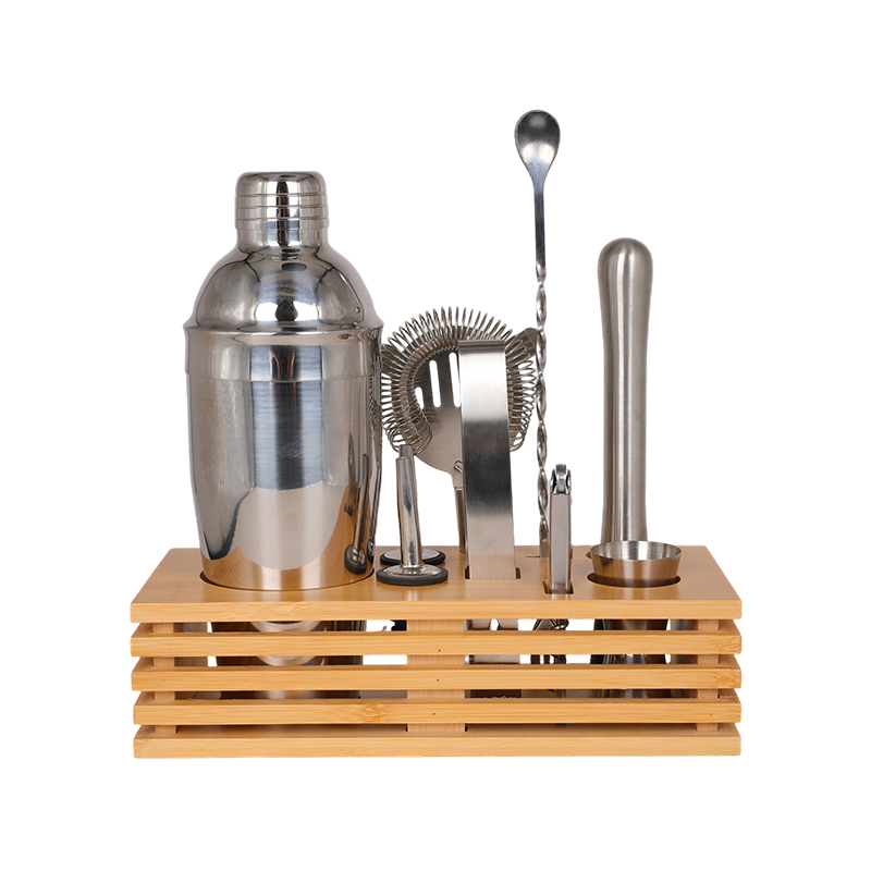 10-Piece Stainless Steel Martini Shaker and Complete Kit