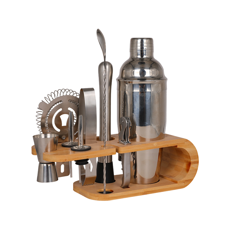 10-Piece Stainless Steel Martini Shaker and Complete Kit
