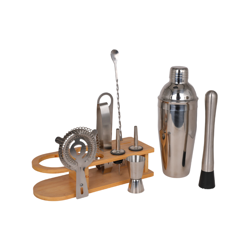 10-Piece Stainless Steel Martini Shaker and Complete Kit