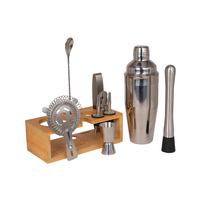 10-Piece Stainless Steel Martini Shaker and Complete Kit