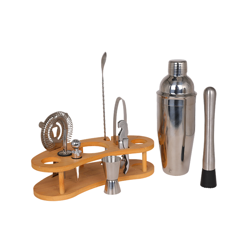 10-Piece Stainless Steel Martini Shaker and Complete Kit