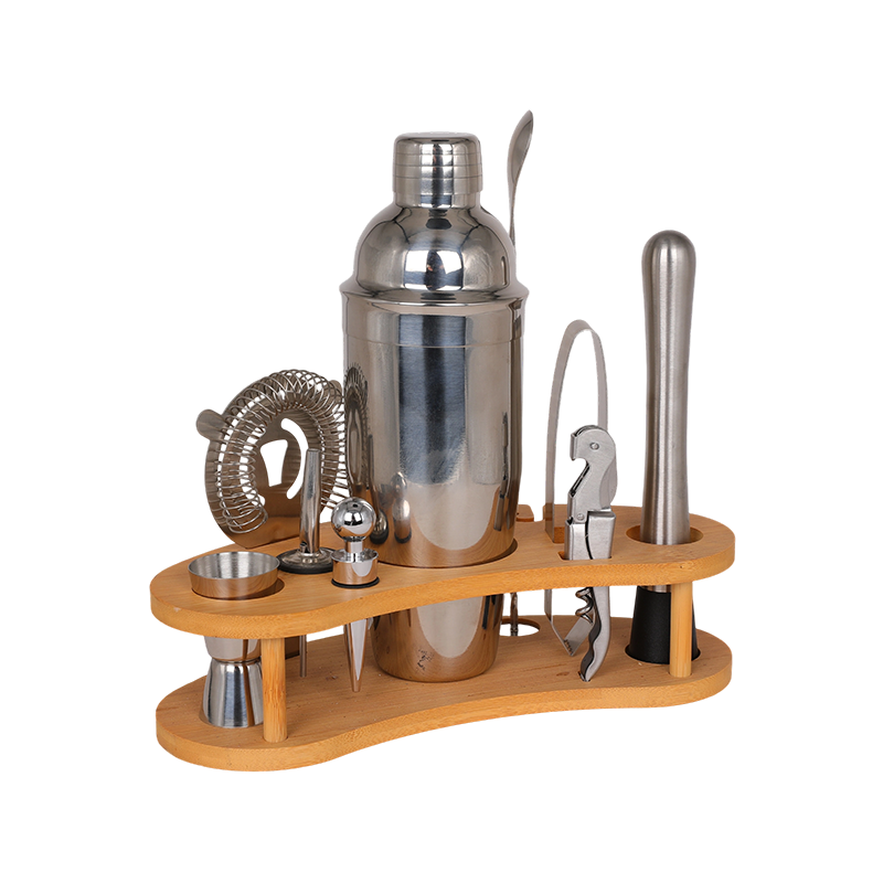 10-Piece Stainless Steel Martini Shaker and Complete Kit