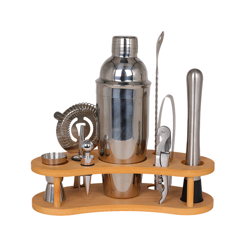 10-Piece Stainless Steel Martini Shaker and Complete Kit