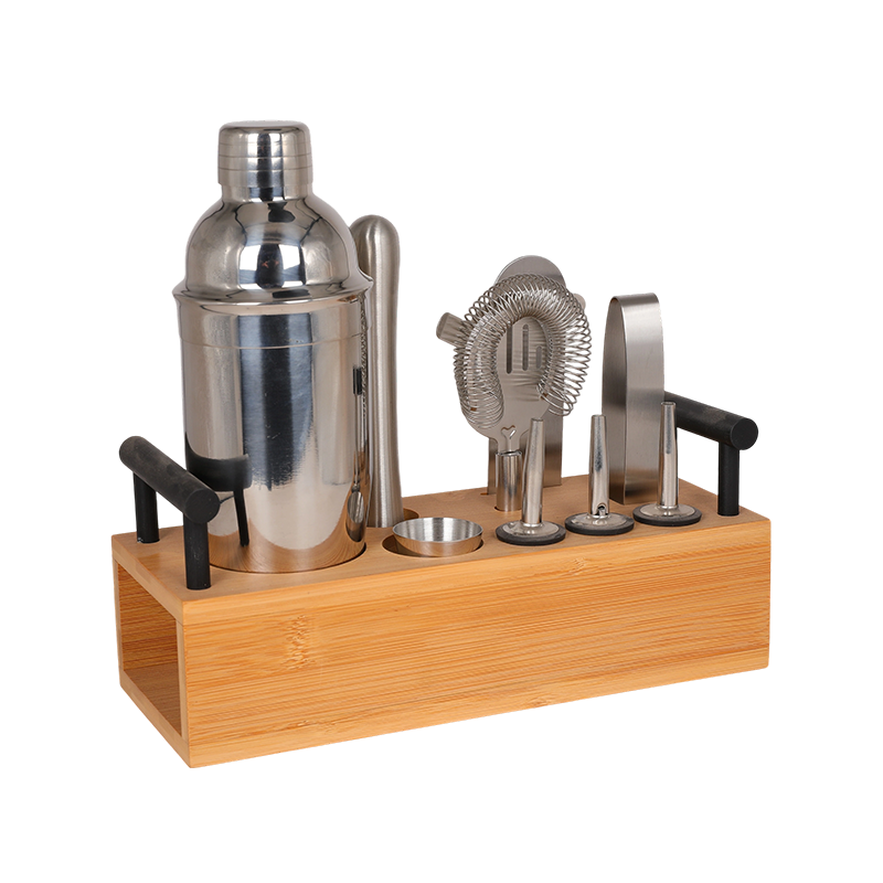 10-Piece Stainless Steel Martini Shaker and Complete Kit